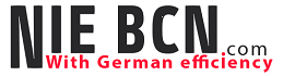 NIEBCN , NIE BARCELONA SERVICE, BCN SEGUROS Icon